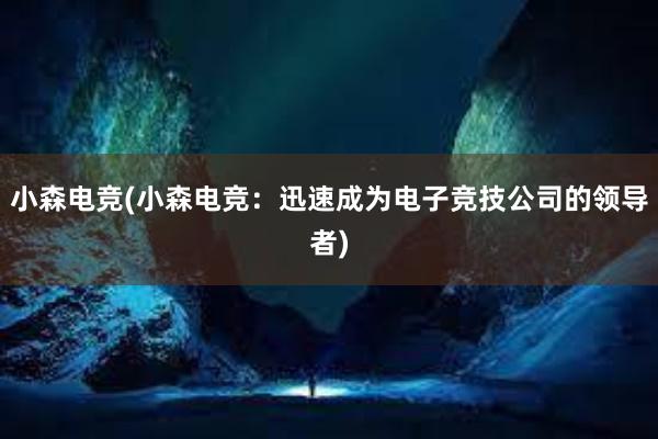 小森电竞(小森电竞：迅速成为电子竞技公司的领导者)