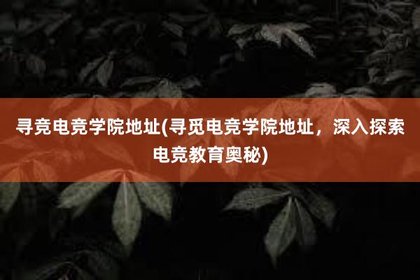 寻竞电竞学院地址(寻觅电竞学院地址，深入探索电竞教育奥秘)