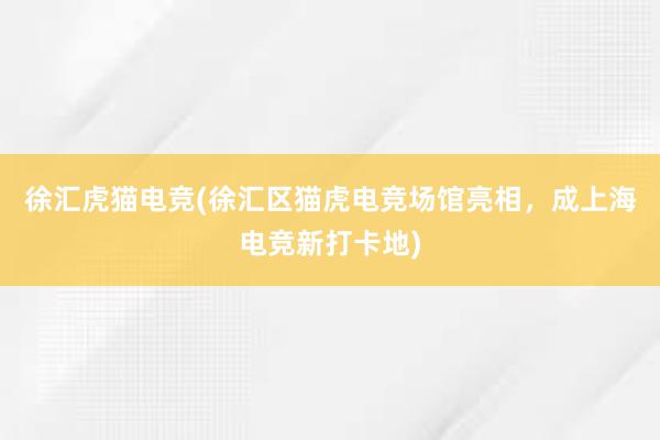 徐汇虎猫电竞(徐汇区猫虎电竞场馆亮相，成上海电竞新打卡地)