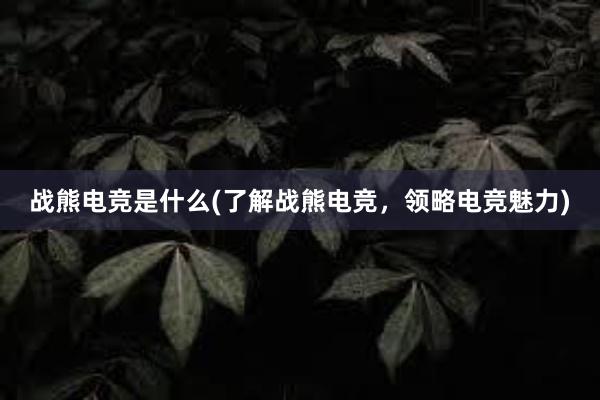 战熊电竞是什么(了解战熊电竞，领略电竞魅力)