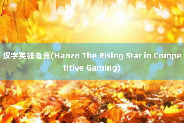 汉字英雄电竞(Hanzo The Rising Star in Competitive Gaming)