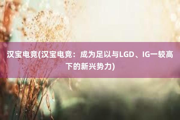 汉宝电竞(汉宝电竞：成为足以与LGD、IG一较高下的新兴势力)