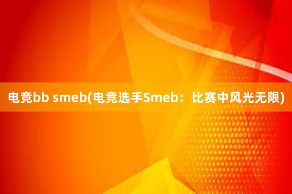 电竞bb smeb(电竞选手Smeb：比赛中风光无限)