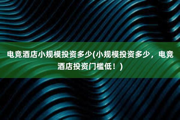 电竞酒店小规模投资多少(小规模投资多少，电竞酒店投资门槛低！)