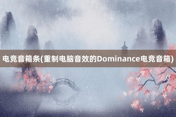 电竞音箱条(重制电脑音效的Dominance电竞音箱)