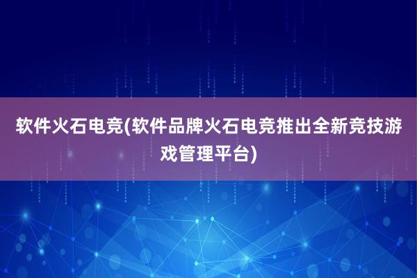 软件火石电竞(软件品牌火石电竞推出全新竞技游戏管理平台)