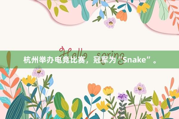 杭州举办电竞比赛，冠军为“Snake”。