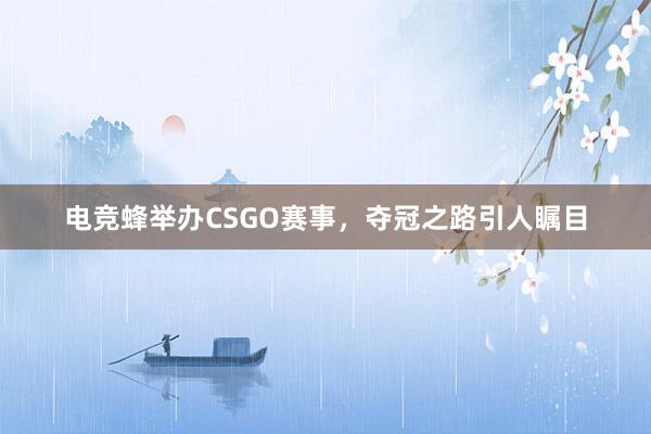 电竞蜂举办CSGO赛事，夺冠之路引人瞩目