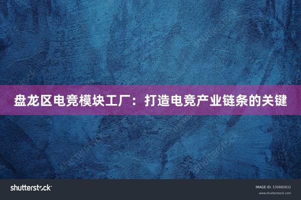 盘龙区电竞模块工厂：打造电竞产业链条的关键